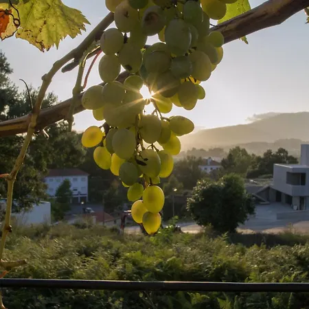 Casa Dos Grous 度假居